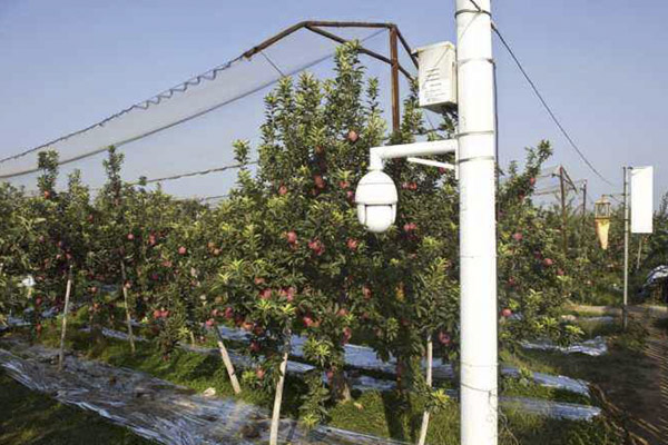 野外種植基地安裝智能監控系統 野外種植基地安裝智能監控系統